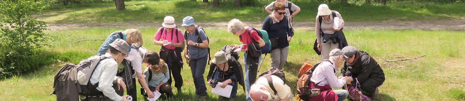 logo les-herbes-sauvages
