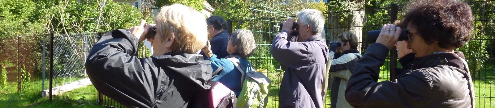 logo les-herbes-sauvages