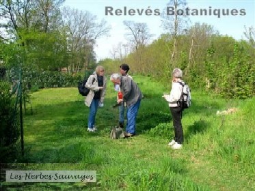 relevés botanique